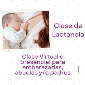 Orientación de Lactancia Individualizada 1:1
