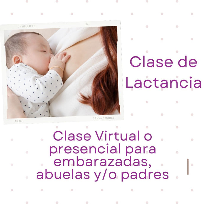 Orientación de Lactancia Individualizada 1:1